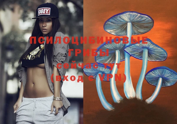 спиды Белокуриха