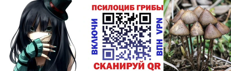 Псилоцибиновые грибы прущие грибы  Купить закладки  Бирюсинск 